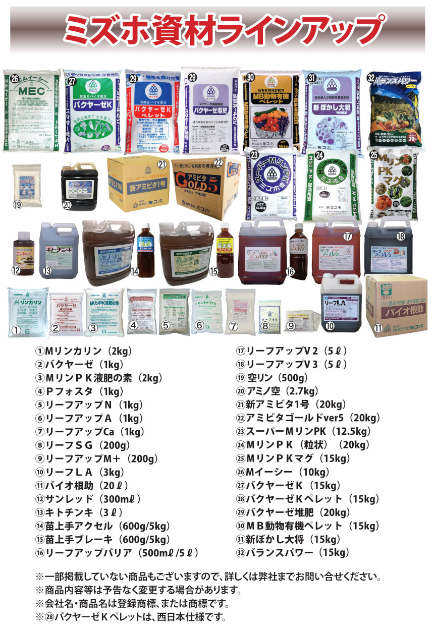 �~�Y�z2025�N����